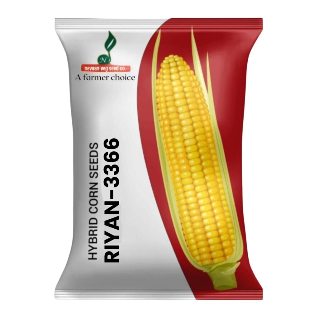 hybrid corn seeds nevaan