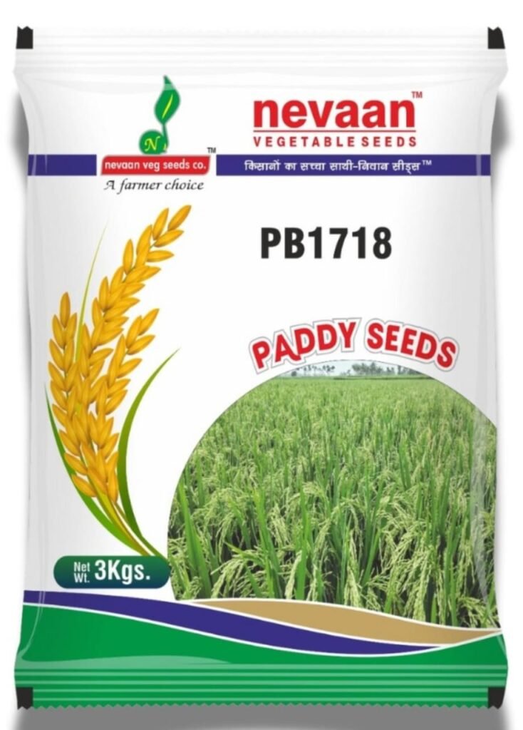 nevaan pb paddy seeds