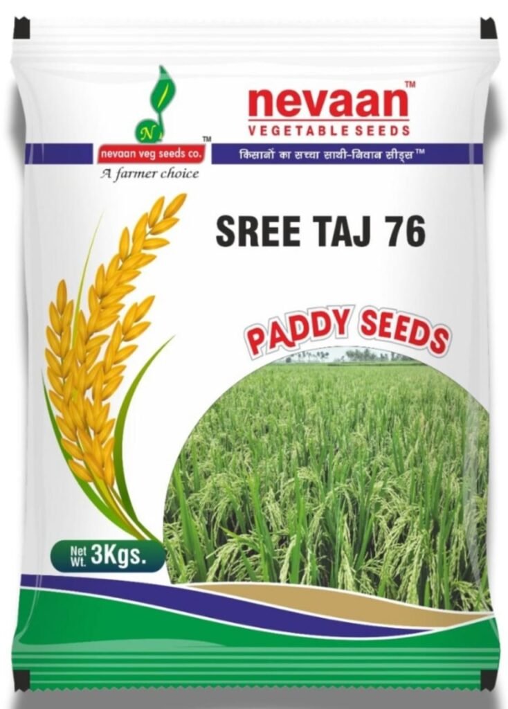 nevaan paddy seeds