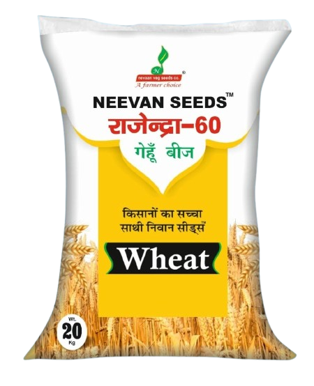 nevaan rajendra60 gehu seeds removebg preview