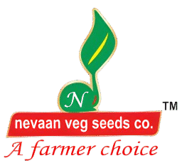 nevaan seeds logo removebg preview