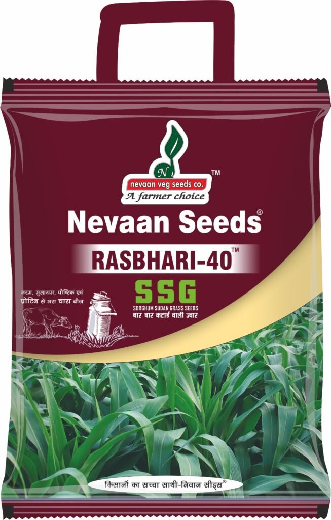 nevaan seeds rashbari