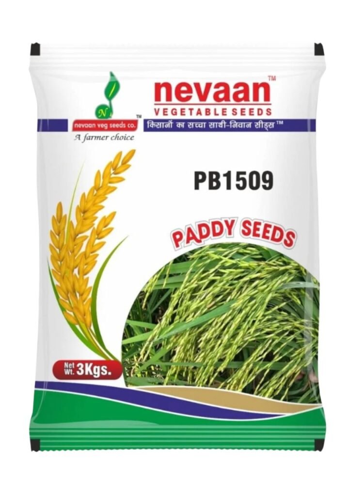 nevaan paddy seeds pb 1509